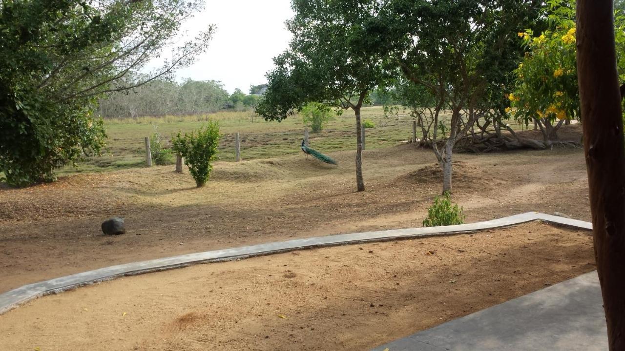 Taragala Chalets Kalametiya Exterior foto
